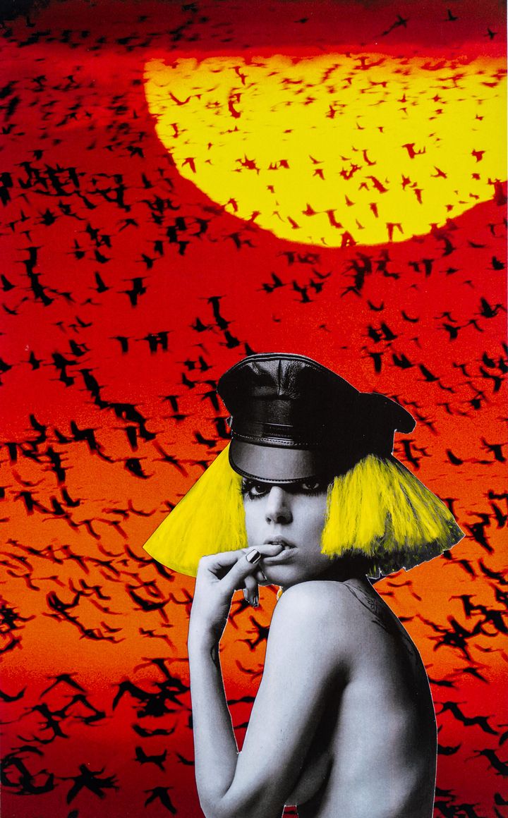 Lady Gaga And Birds