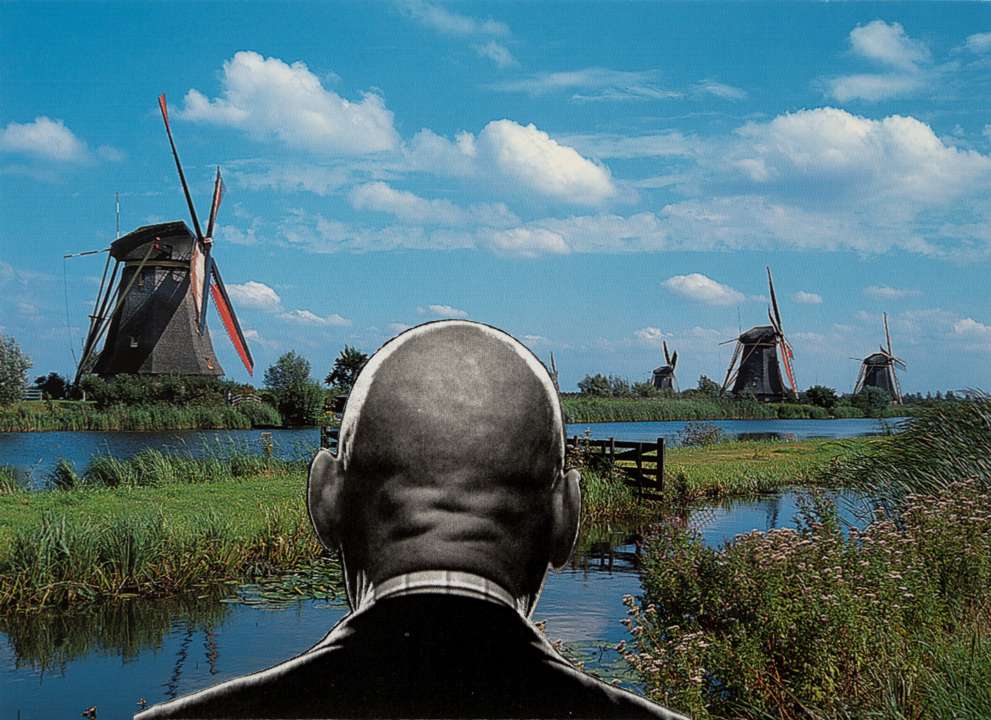 Fortuyn In Kinderdijk